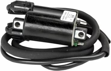 DS 2102-0380 Zündspule für GL 1500